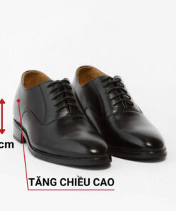 Giày Oxford Tăng Chiều Cao 6cm Đế Phíp Cao Cấp SIGOURNEY Da Bò Nhập Khẩu Màu Đen Trơn SCC08